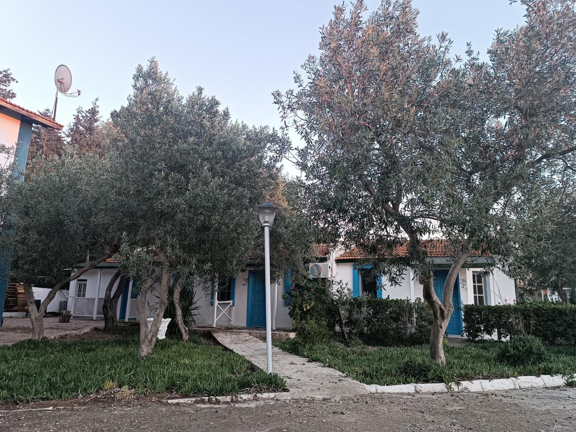 Hotel Teos Ormanci Tatil Koyu à Seferihisar Extérieur photo