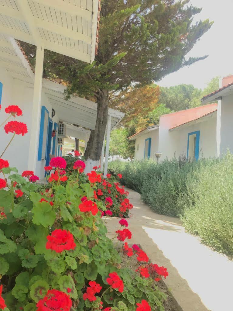 Hotel Teos Ormanci Tatil Koyu à Seferihisar Extérieur photo